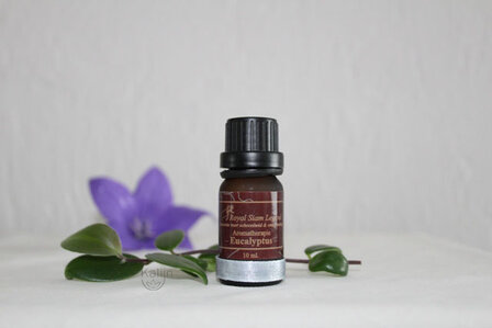 Etherische olie Eucalyptus 10 ml